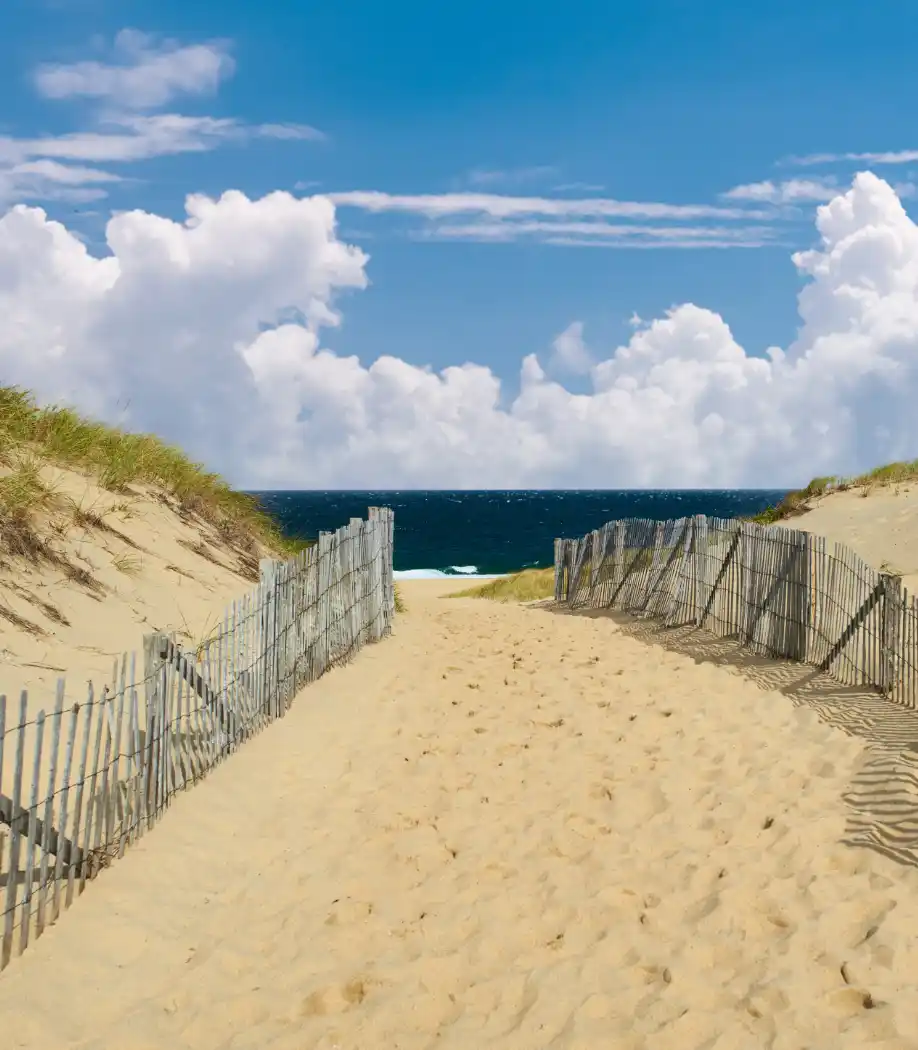 Visit the National Seashore